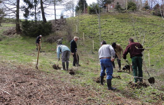 Freiwillige beim Pflanzen einer Hecke. (Foto: Pro Natura SGA)